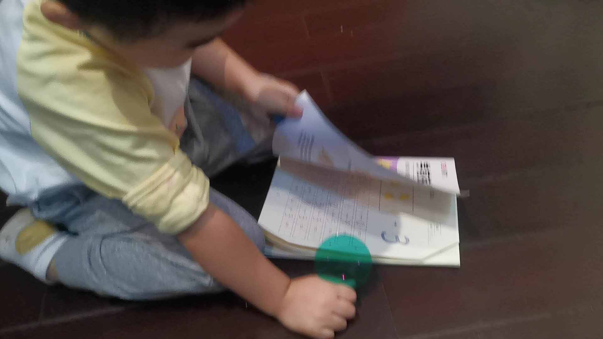 VID_20221020_183101.mp4