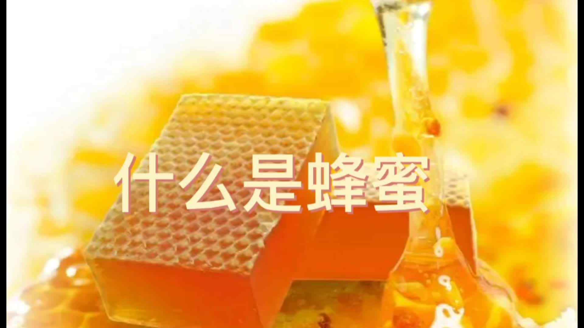 ⁣神秘符号博物馆—研学活动：什么是蜂蜜