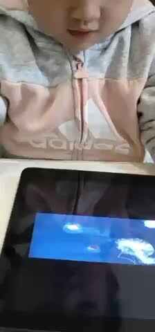 观看上海海昌海洋公园.MOV