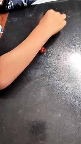 trim.62A76445-A3D4-4394-8408-64C5D9D9E0B6.MOV