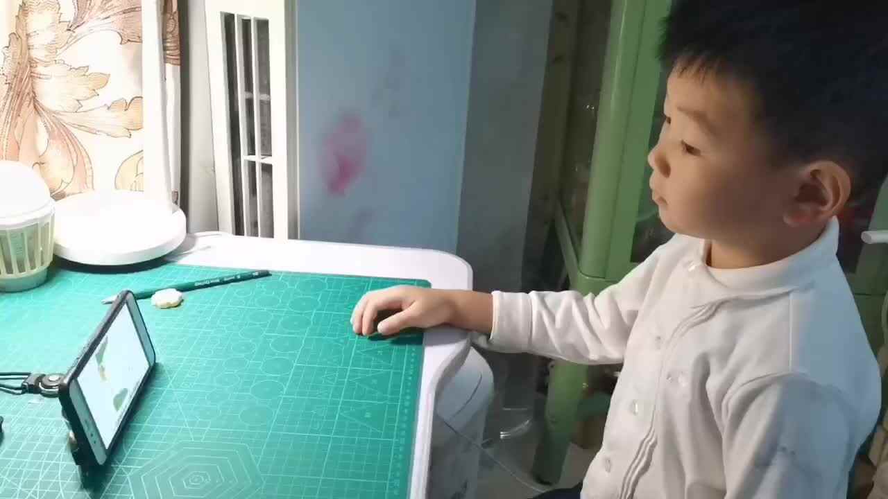 观看视频 聪明的小鸡