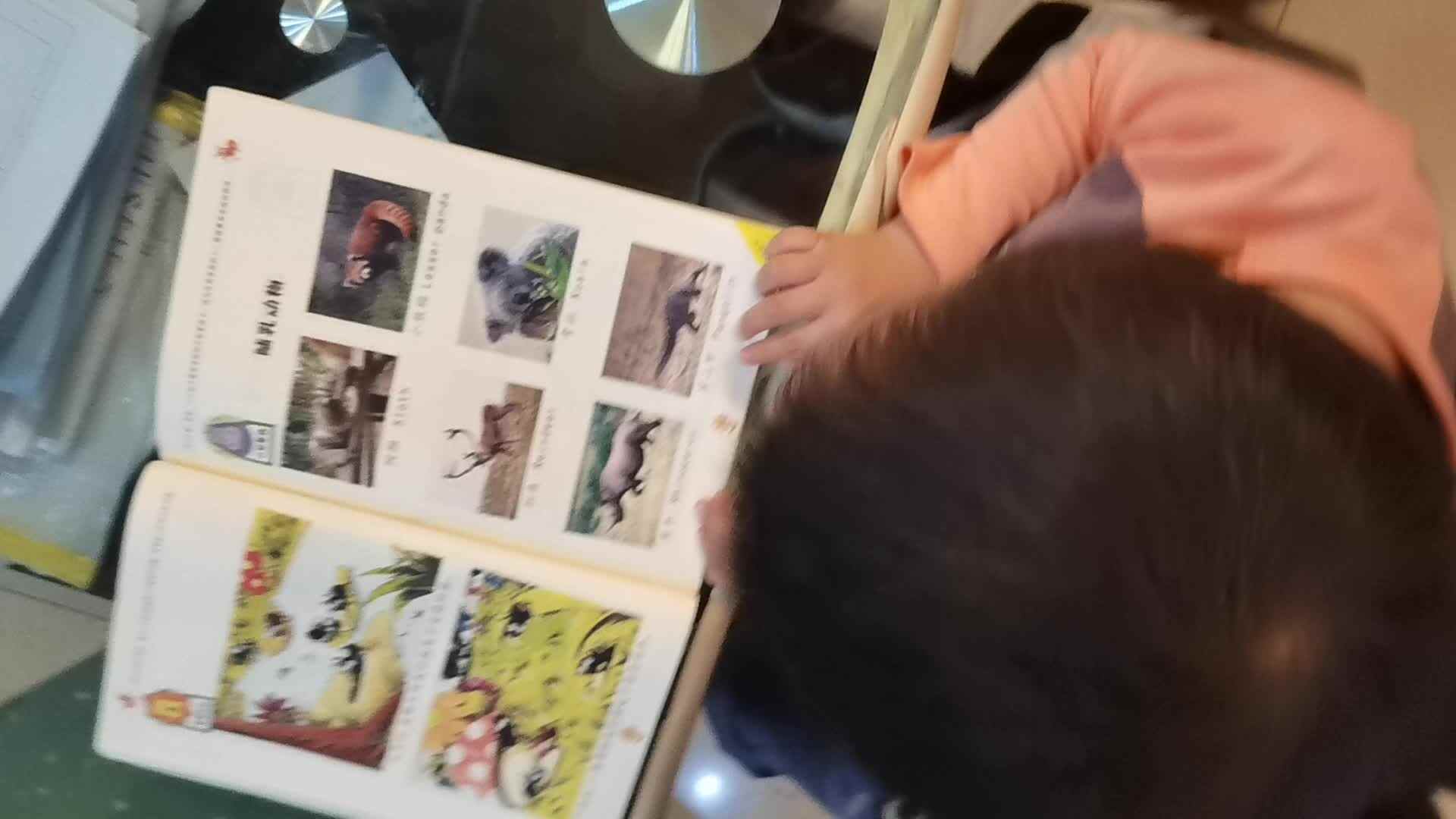 VID_20221021_201827.mp4