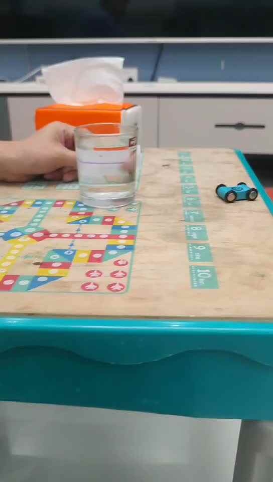 科学小实验《迷失的方向》