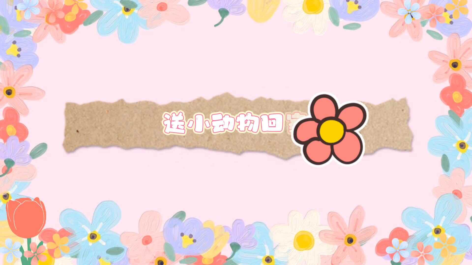 《送小动物回家》.mp4