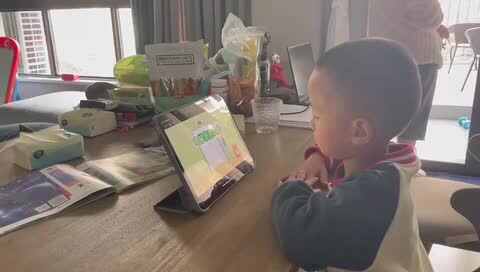 电梯使用安全.MOV