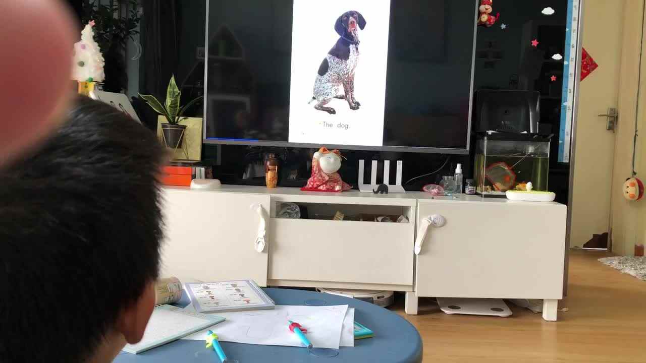 20221115中A班郭睿珩-跟读Pets 宠物.mp4