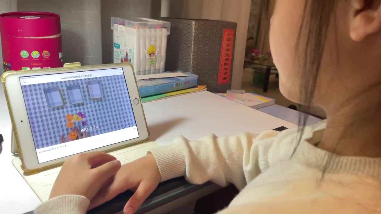 11.8屠钰婷观看复习《物品分类》.MOV