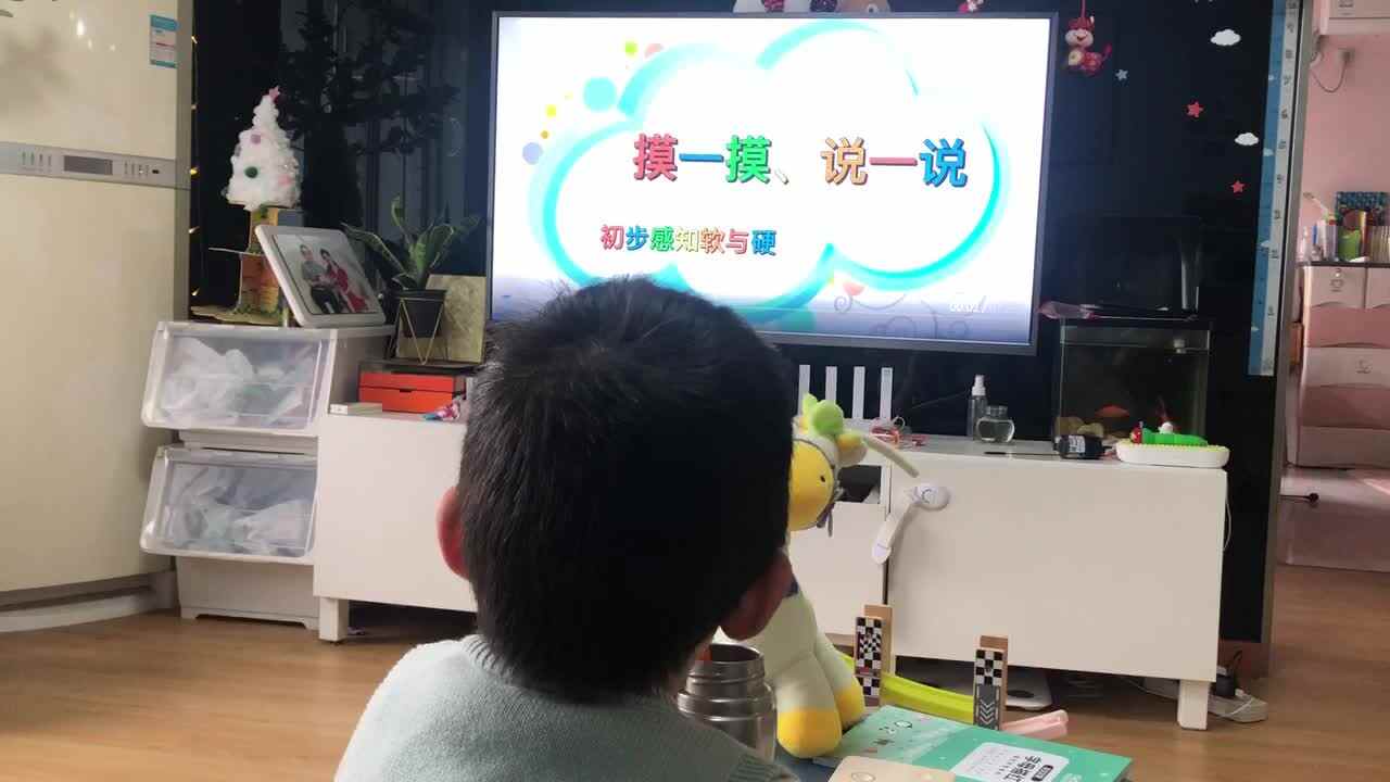 20221118中A班郭睿珩-观看摸一摸说一说.mp4