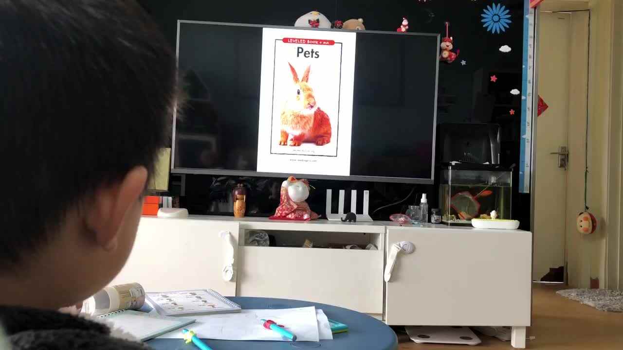 20221115中A班郭睿珩-观看Pets 宠物.mp4