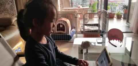 11.9屠钰婷观看英文《baby animals》.MOV