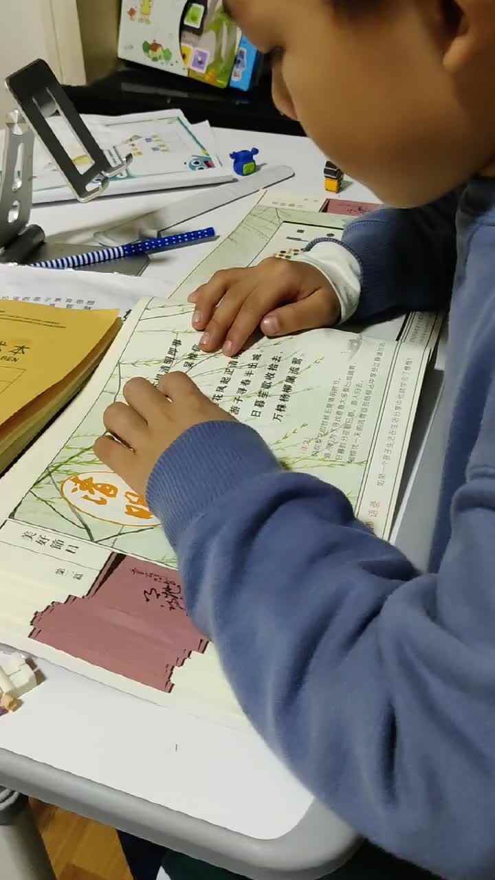 苏堤清明即事