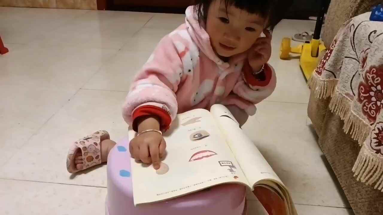 温习人的五官