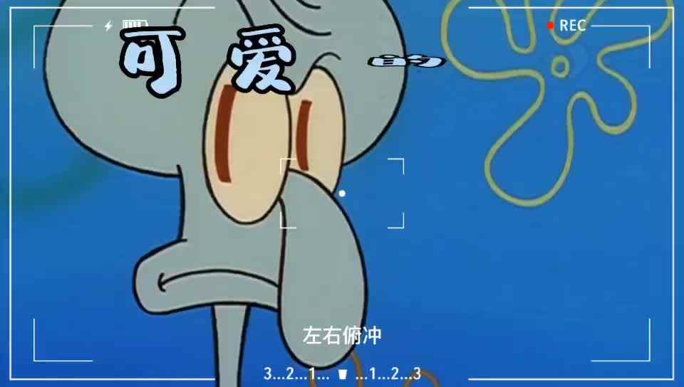 可爱的小章鱼