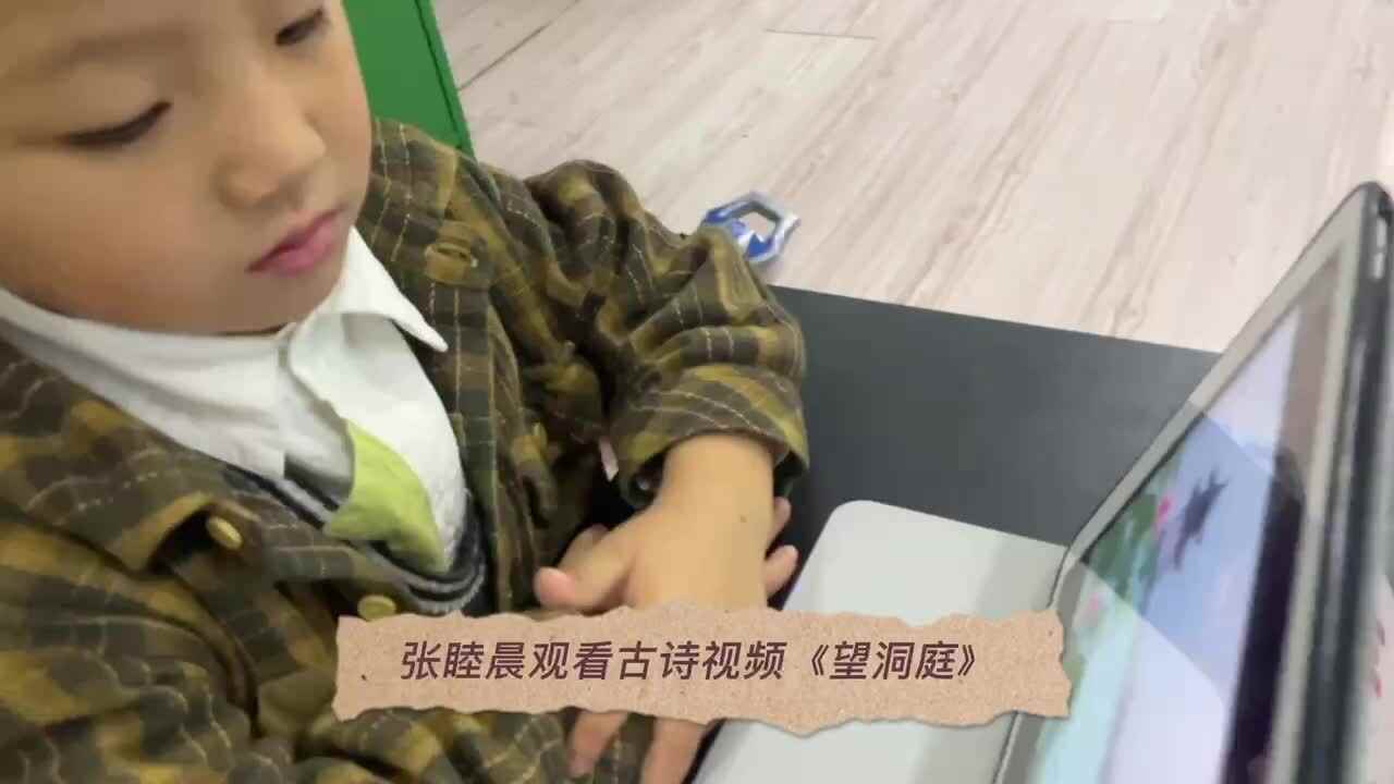 张睦晨学习古诗《望洞庭》和做实验《魔法圣诞树》