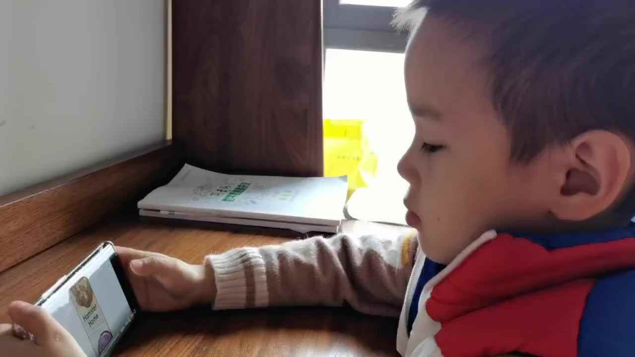 跟读英语绘本《Hamster Home小仓鼠的家》