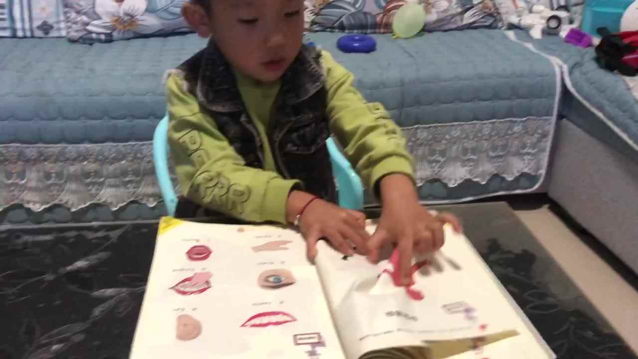 认识身体部位