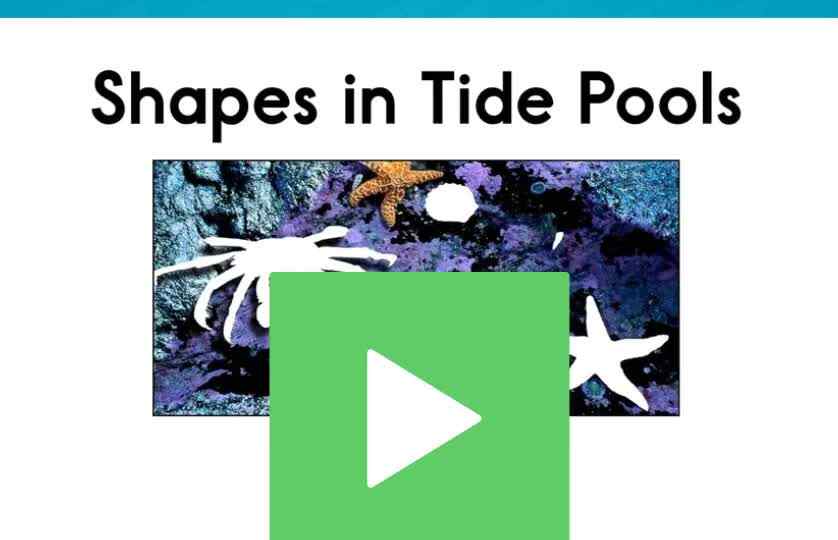 E-19Shapes in Tide Pools.mp4