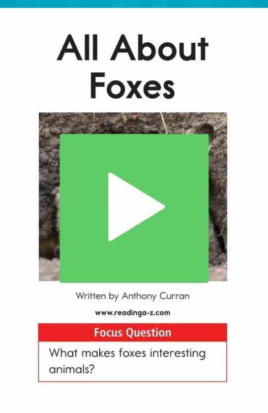 D-25All About Foxes.mp4