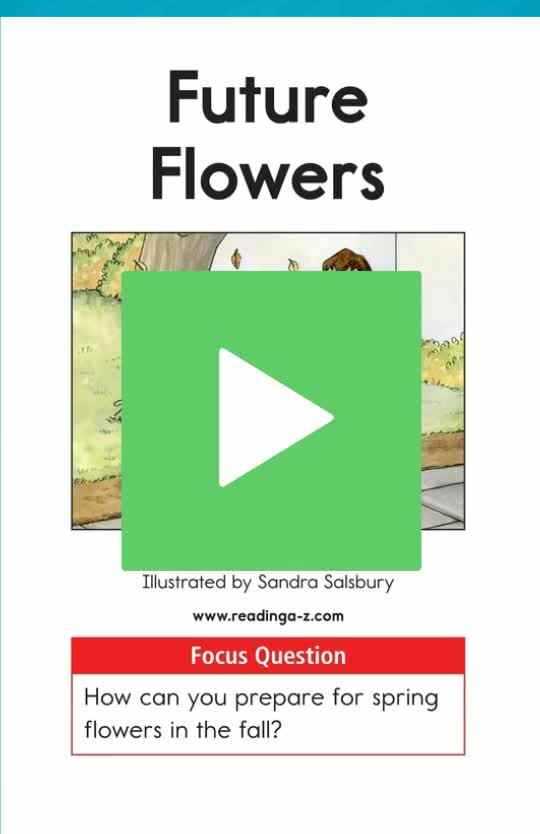 D-12Future Flowers.mp4