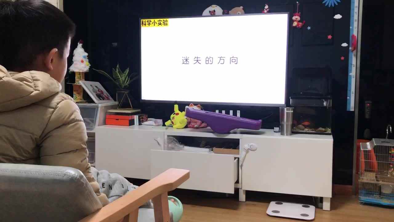 20221208中A班郭睿珩-观看视频迷失的方向.mp4