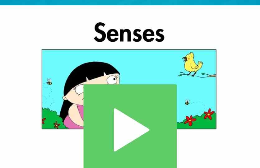 D-70Senses.mp4