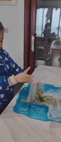 观看《忙碌的星星工厂》后回答：一箱金桔里有几袋？