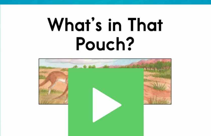 E-08What's In That Pouch.mp4
