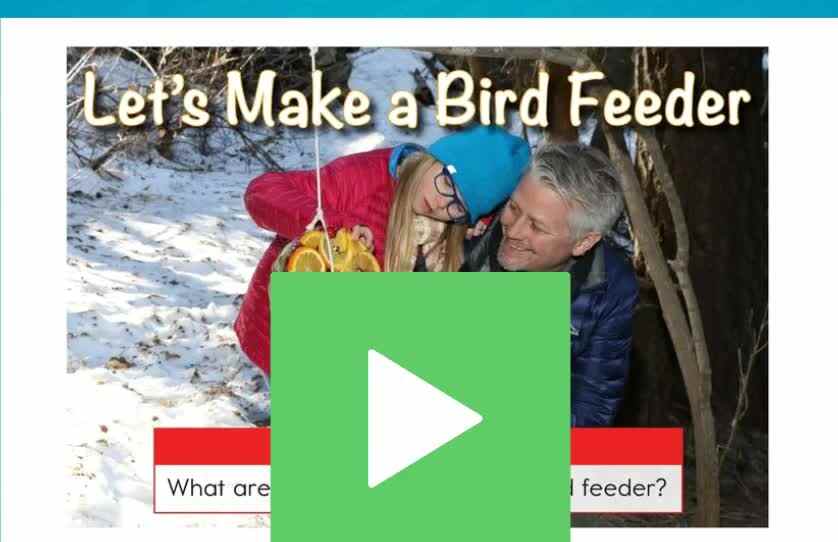 D-51Let's Make a Bird Feeder.mp4