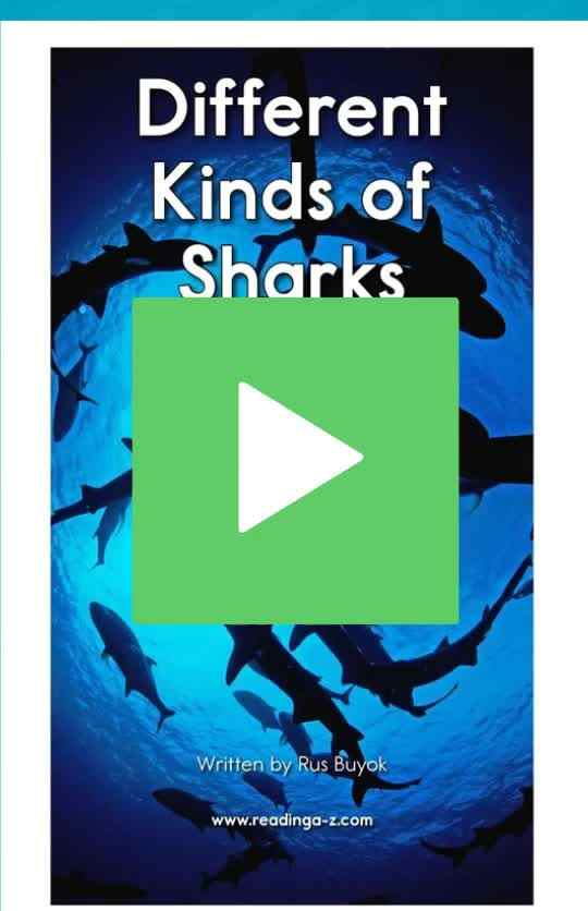 C-11Different Kinds of Sharks.mp4