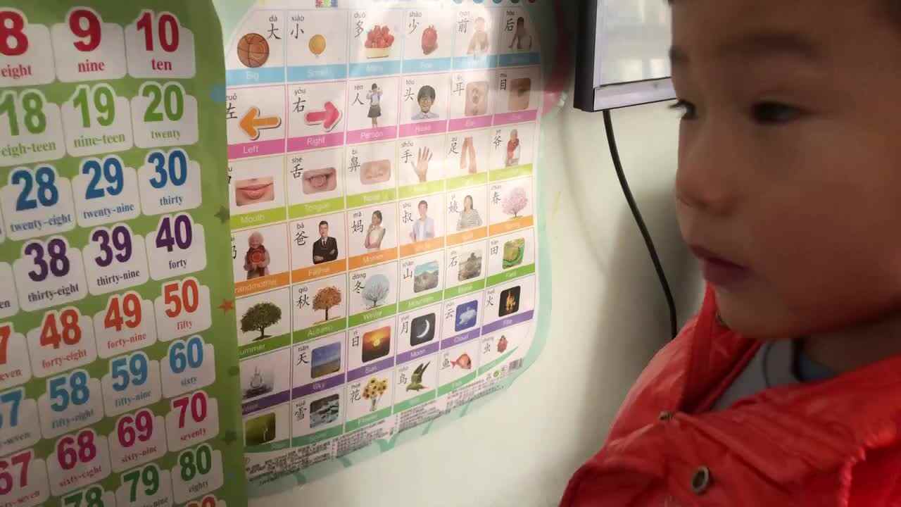 认识身体部位