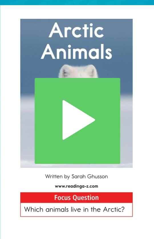 E-01Arctic Animals.mp4