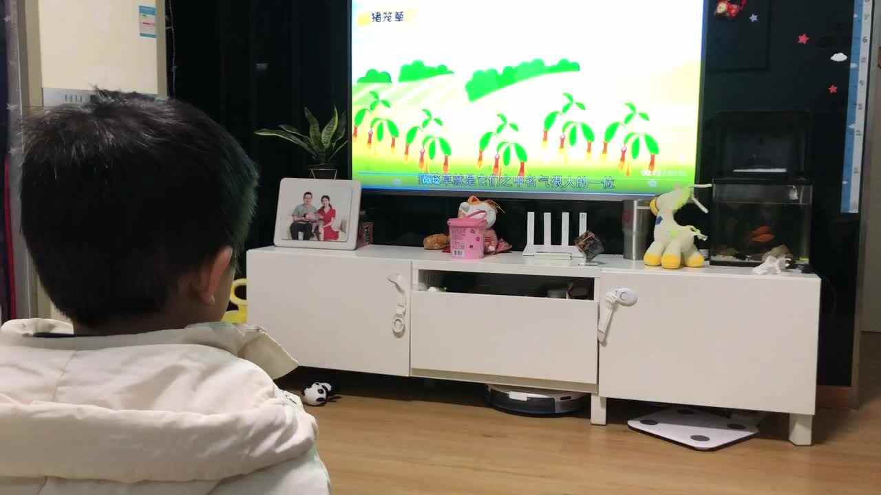 20221229中A班郭睿珩-观看视频-猪笼草.mp4