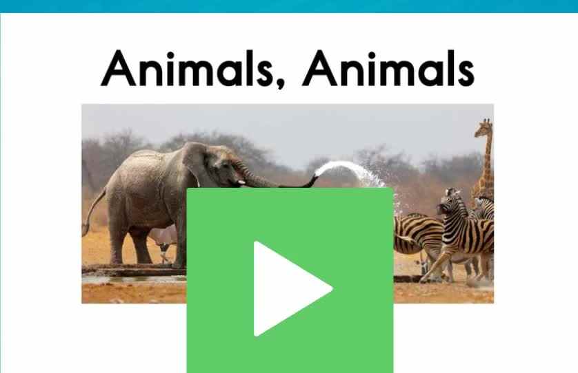 E-17Animals Animals.mp4