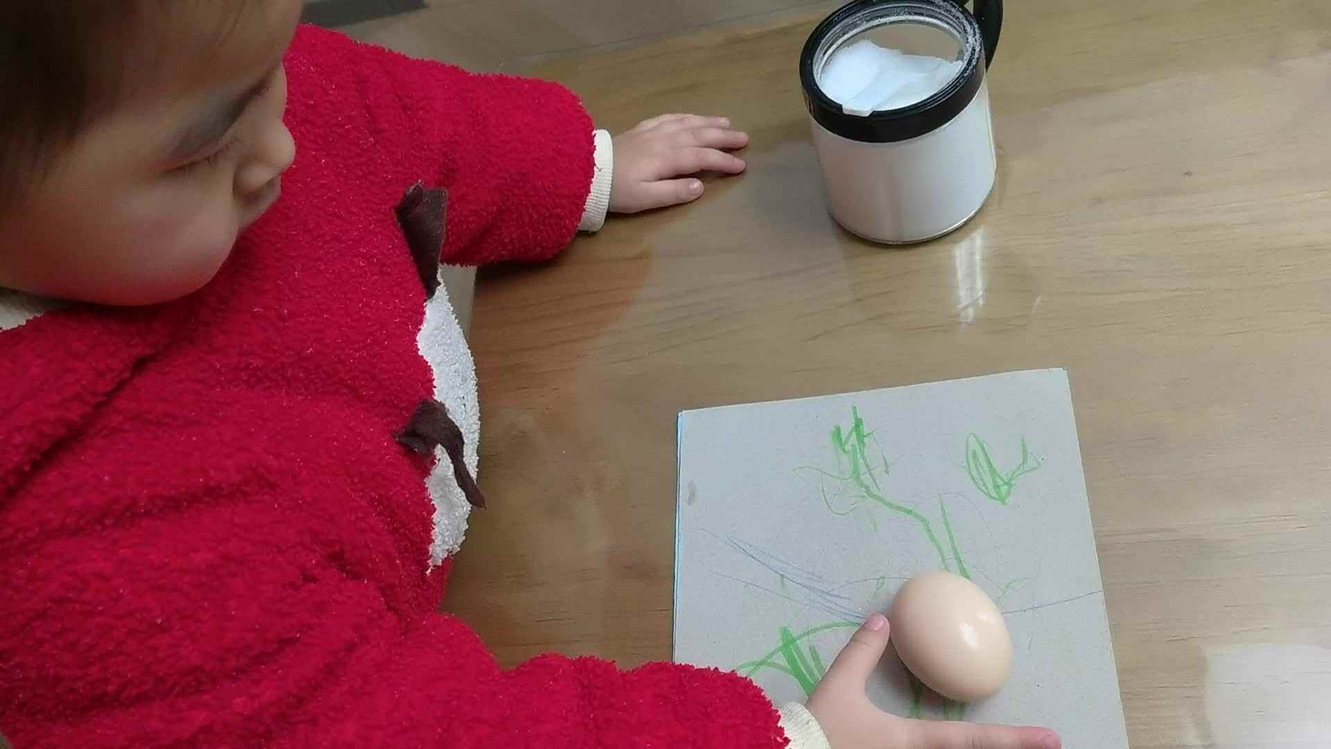 鸡蛋站起来了-科学活动.mp4