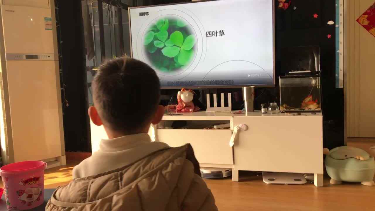 20230106中A班郭睿珩-四叶草.mp4