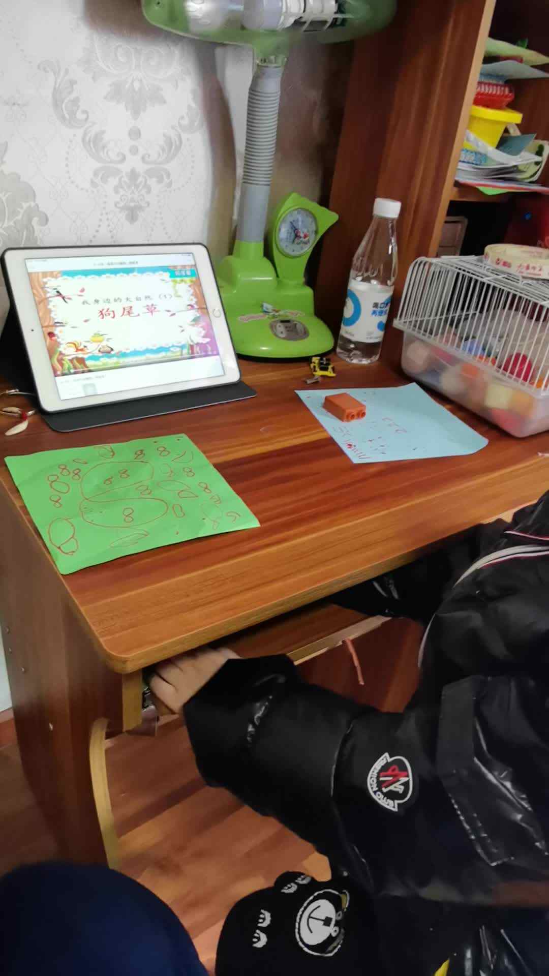 刘栩弘家庭闯关作业