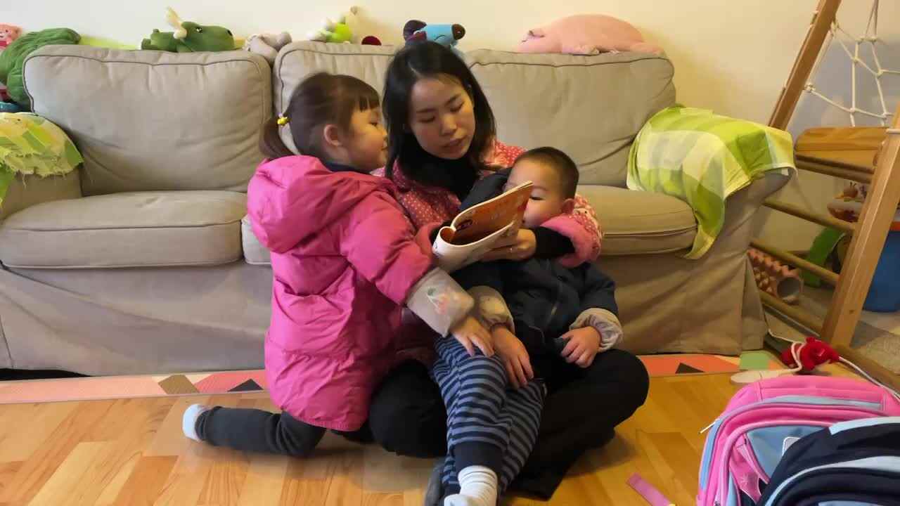 认识动物及叫声