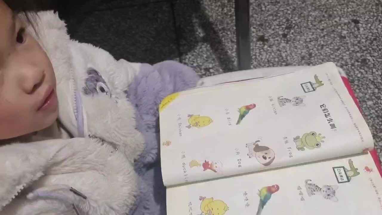 动物怎么叫