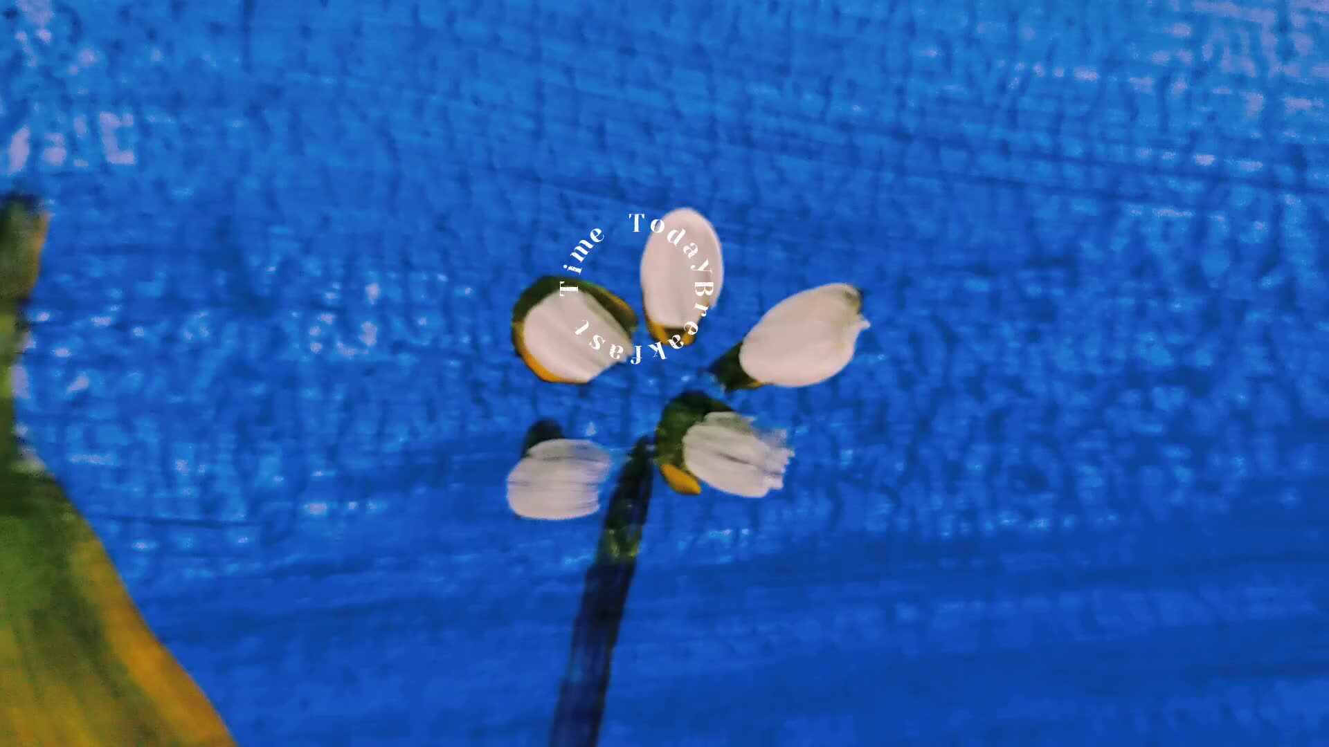 《播种文明，收获美好》