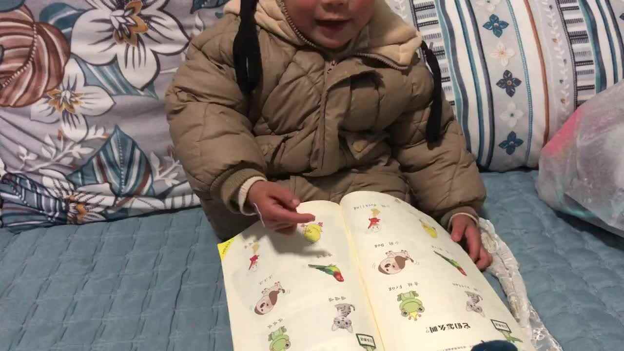 动物怎么叫