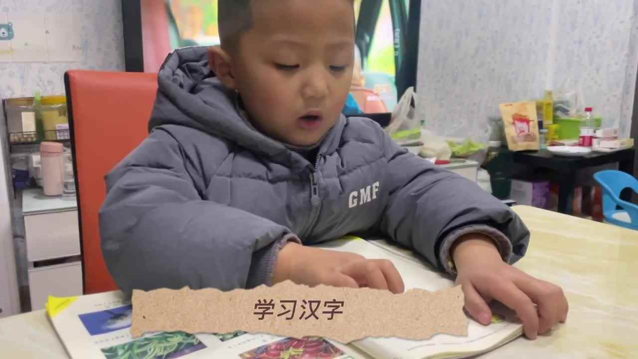 张睦晨汉字学习和复习1-10的点数