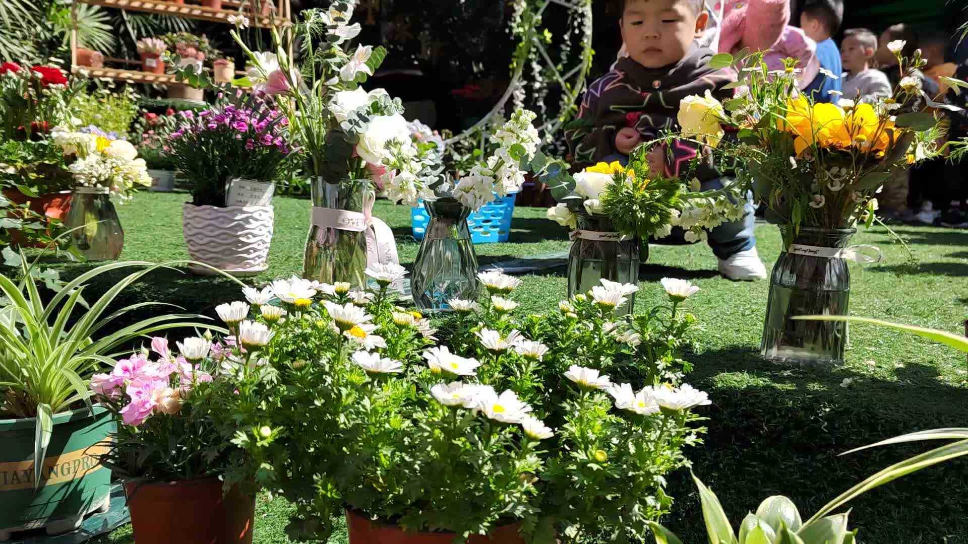 国旗下的萌娃