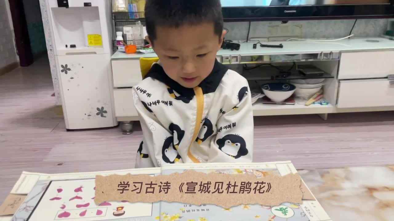 张睦晨学习古诗《宣城见杜鹃花》