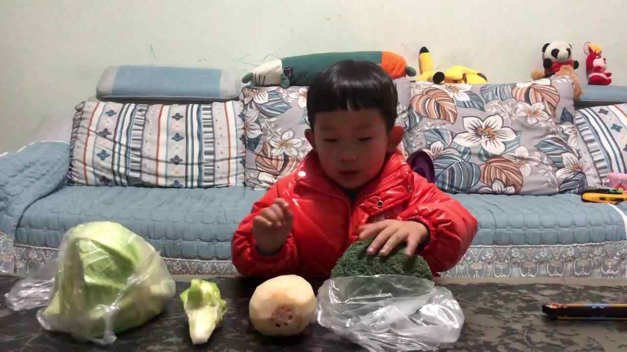 认识蔬菜