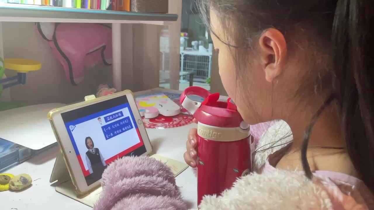 3.13屠钰婷观看视频《一东 山对海 华对嵩》.MOV
