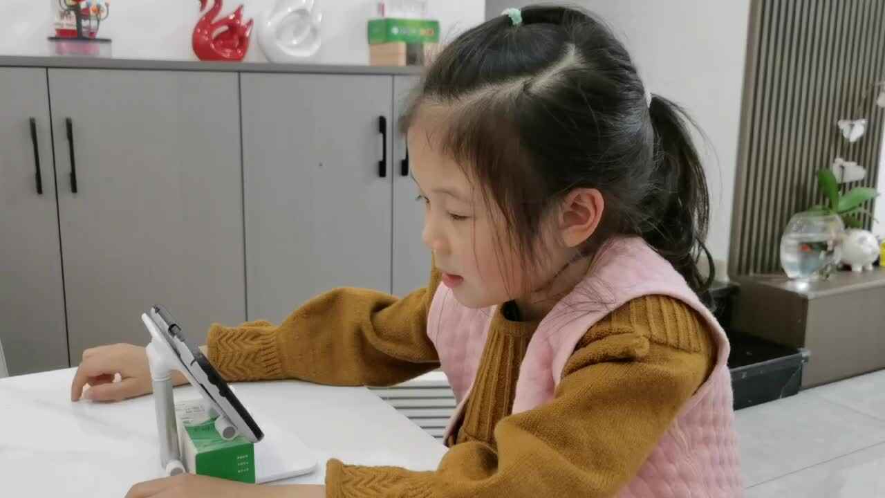 大B班 王偲然 观看视频《认识田字格》