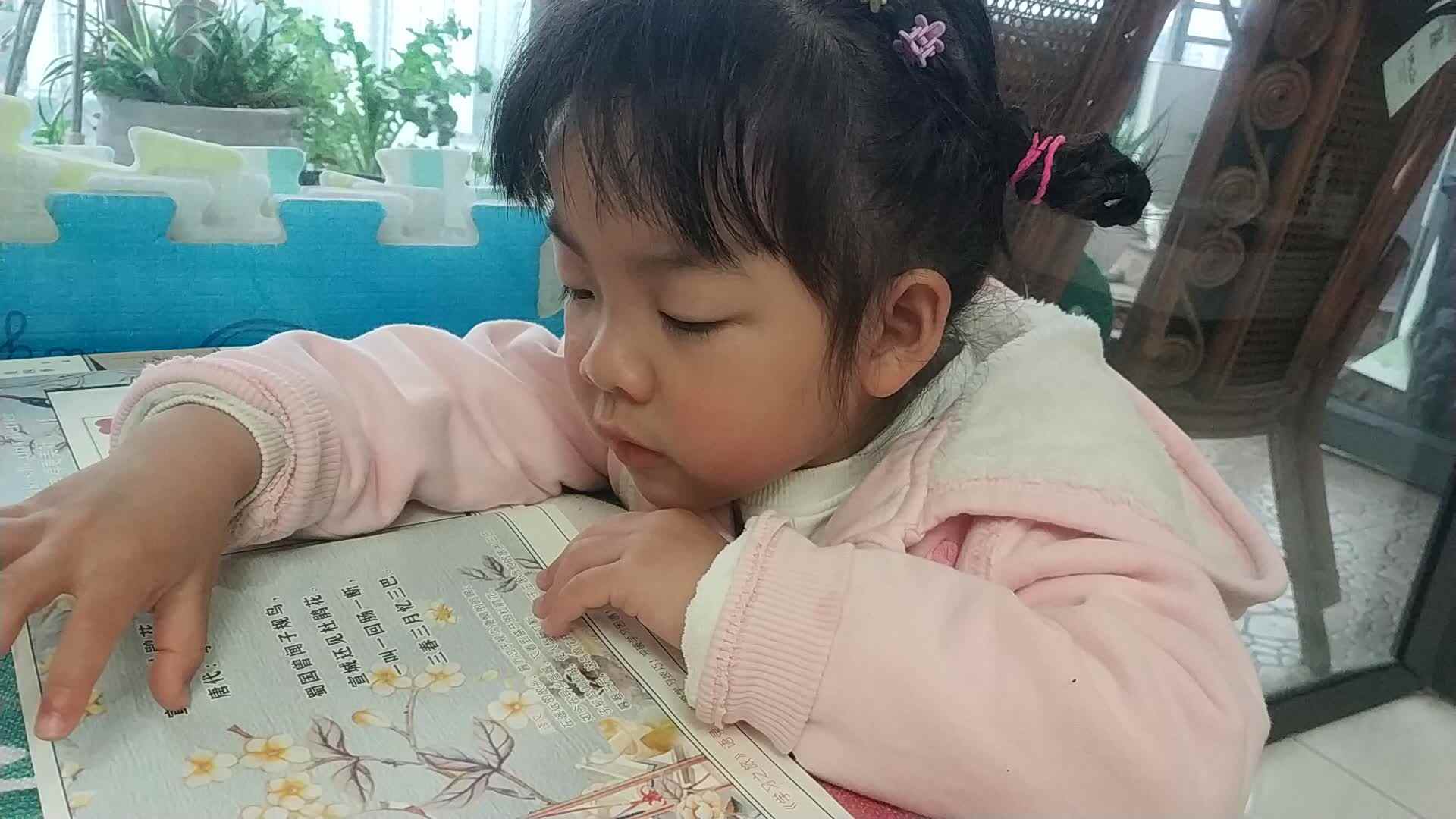 中B班魏琪珈《宣城还见杜鹃花》VID_20230310_074405.mp4