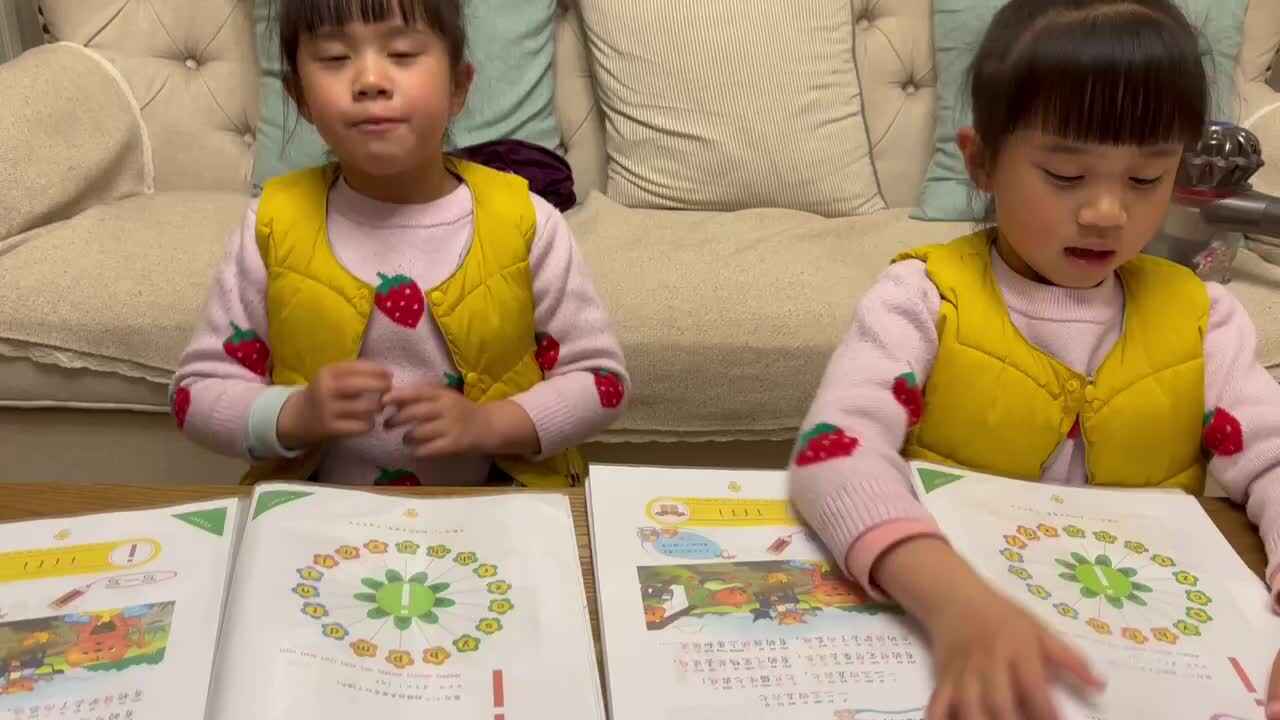 复习拼音8-13页
