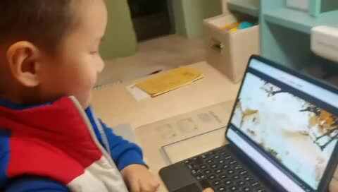 观看并指读诗歌《从前慢》