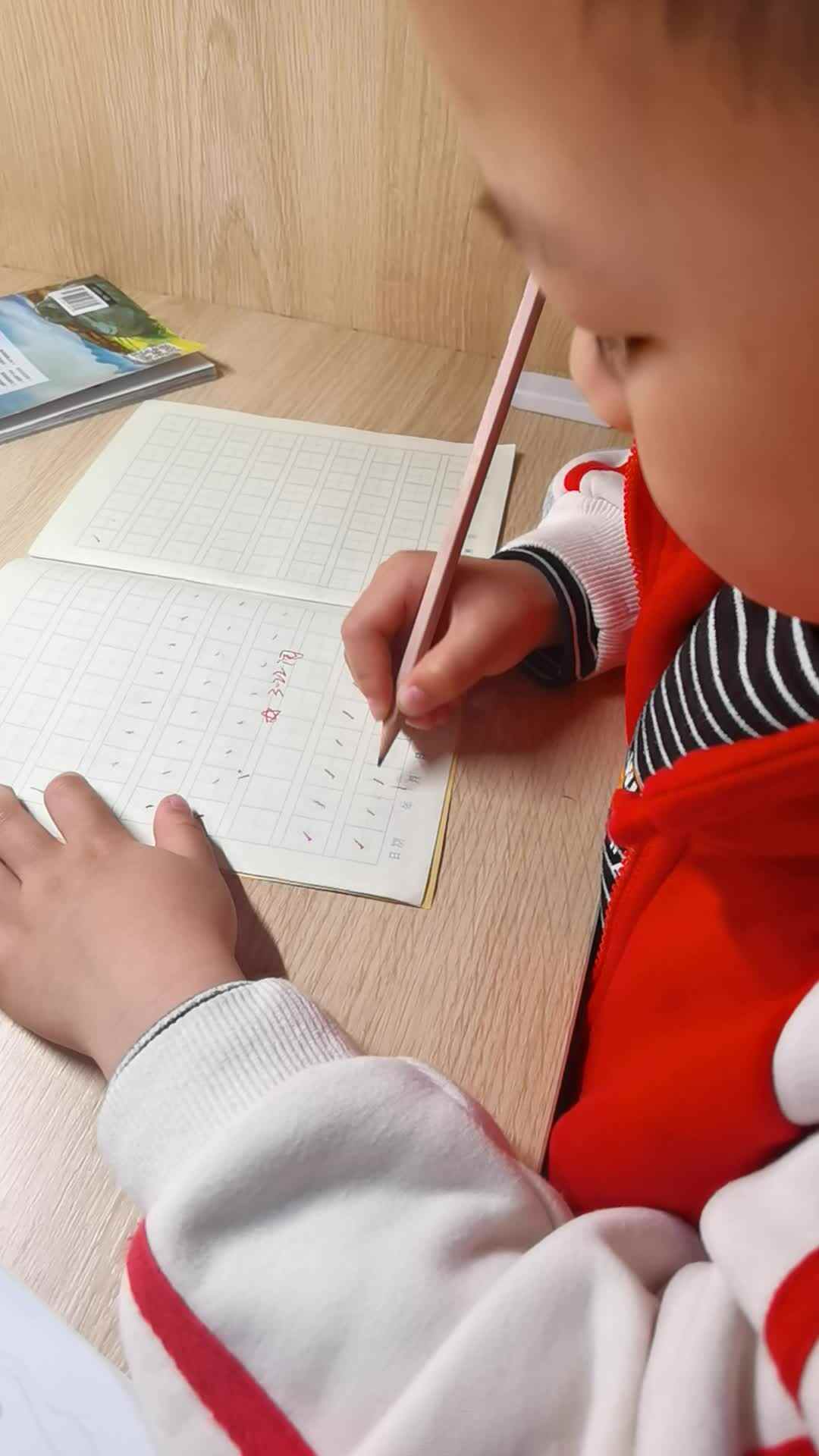 VID_20230322_201115.mp4